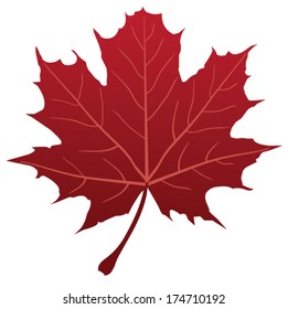 vector red maple leaf