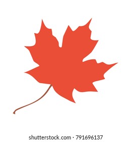 Vector red maple leaf.  Symbol of Canada. Fall. Autumn. Leaf fall. 