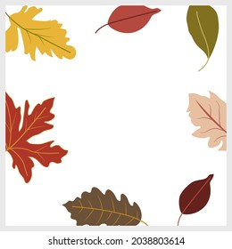 Vector red maple and leaves on isolated white background. Autumn background for greeting card, social media post.
