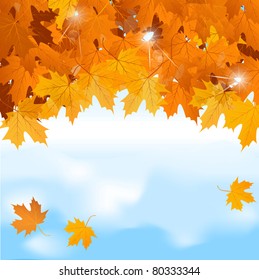 Vector red maple leaves on blue sky background