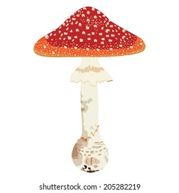 Vector of red mushroom 