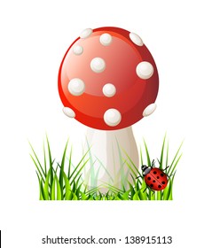 Vector red mushroom. Isolation over white background.