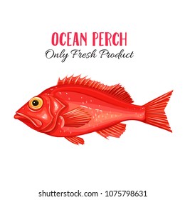 Vector red ocean perch. Icon badge sebastes fish for design seafood packaging and market.