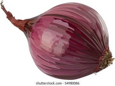 Vector red onion. Filled with solid colors only.