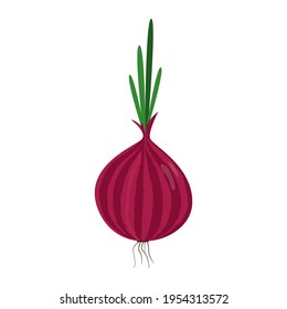 Vector Red Onion on a White Background