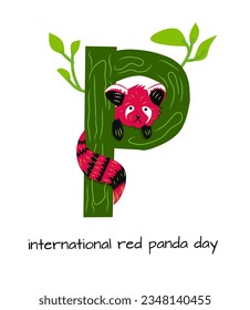 vector red panda and letter p. International Red Panda Day