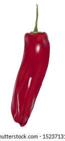 vector red pepper