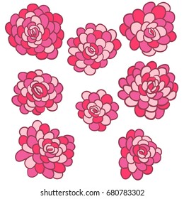 vector red pink flowers set