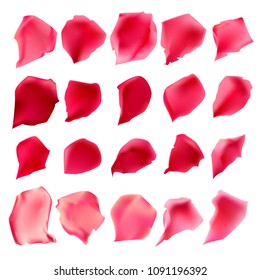 Vector red and pink rose petals. Elements for wedding , romantic, love design.