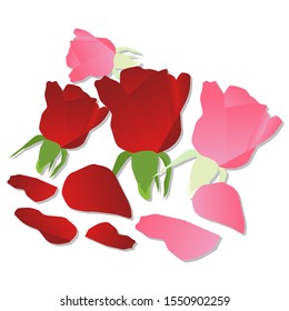 Vector red and pink roses stuck on the flower terminals And were cut into petals. Love. valentines