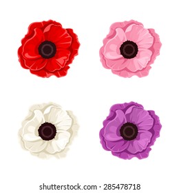 Vector red, pink, white and purple poppies isolated on a white background.