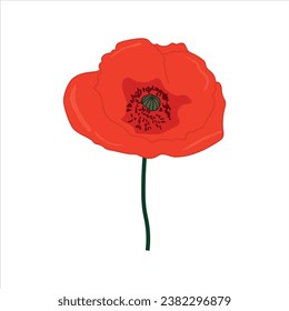 Vector red poppies isolated on a white background.