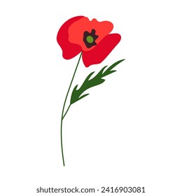 Vector red poppies isolated on white