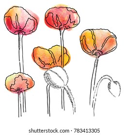 vector red poppy bouquet
