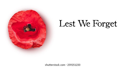 Vector red poppy flower for Anzac Day or Remembrance Armistice Day. Lest we forget.