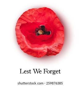 Vector red poppy flower for Anzac Day or Remembrance Armistice Day. Lest we forget.