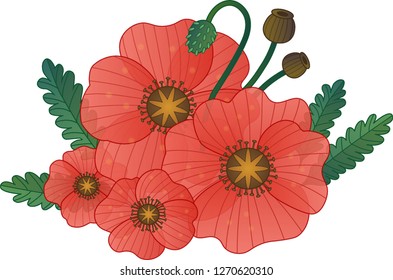 vector red poppy and green leaves floral composition