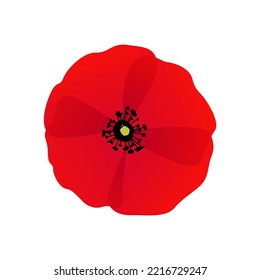 Vector red poppy remembrance day symbol flower.