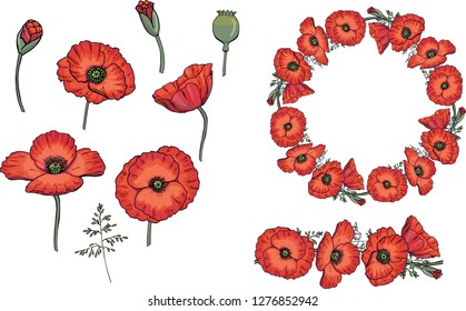 Vector red poppy set with flower bud and stew. Poppy flower and bluegrass wreath for a spring holidays. Isolated. Hand drawn graphic illustration.