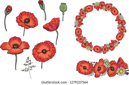 Vector red poppy set with flower bud and stew. Poppy flower, chamomile and bluegrass wreath for a spring holidays. Isolated. Hand drawn graphic illustration.