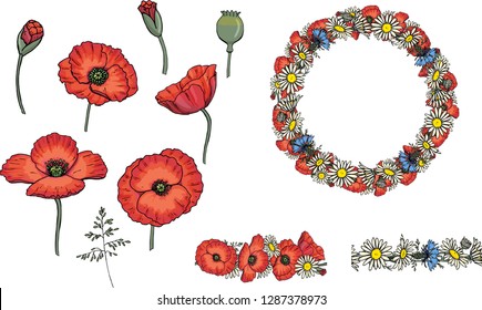 Vector red poppy set with flower bud and stew. Poppy flower chamomile cornflower and bluegrass wreath for a spring holidays. Isolated. Hand drawn graphic illustration.