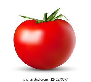 vector red ripe tomato lies on a white background