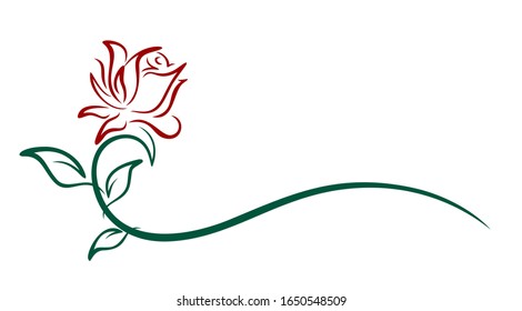 Vector of a red rose.