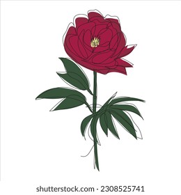 Dibujo de rosa rojo vectorial de una línea continua. Ilustración de color de las flores en el estilo de una línea de arte