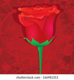 vector red rose flower background.  vector valentine day greeting card with red rose - Shutterstock ID 166981313