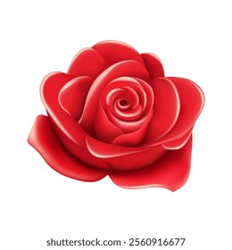 Vector red rose flower on white background design element for decor.