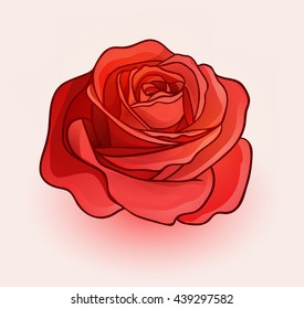 Vector red rose flower  with stroke