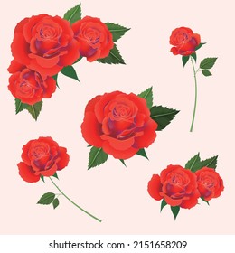 Flor de rosa roja vectorial para varios festivales, antecedentes, tarjetas, etc.