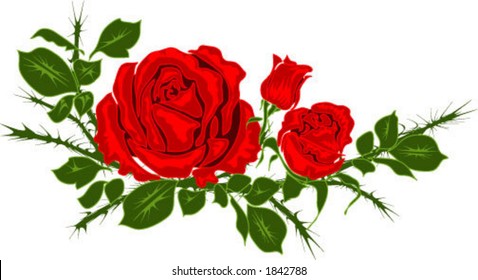 vector of Red Rose with Green Leaves - resize as needed