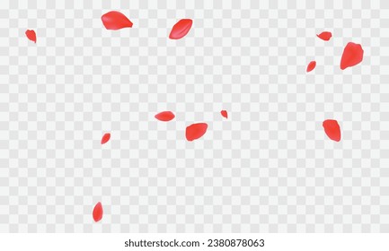 Rose Petals Vector Art, Icons, and Graphics for Free Download