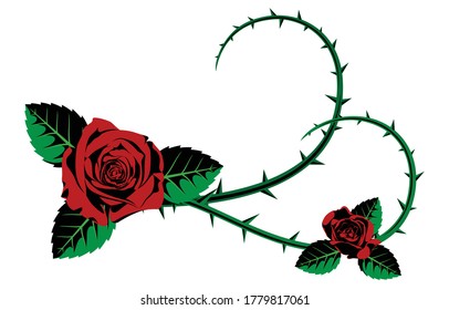 vector red rose and thorny ivy