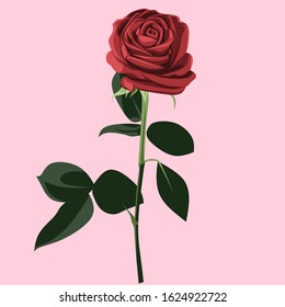 vector red roses with green stems pink background
