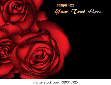 Vector red roses On a black background for text