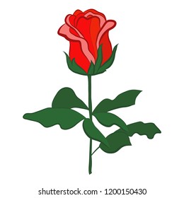 Vector of red rouse and green leaves. Hand drawing graphic.Decorative isolated element
