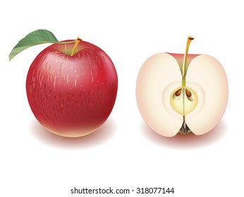Vector red speckled apple with leaf and half cut apple