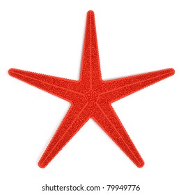 Vector Red Starfish