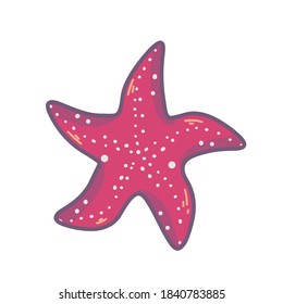 Vector Red starfish on summer beach