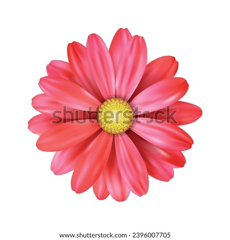 Vector a red sunflower on white background.