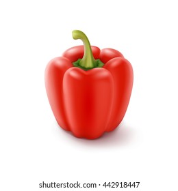 Vector Red Sweet Bulgarian Bell Pepper, Paprika Isolated on White Background