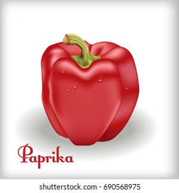 Vector Red Sweet Bulgarian Bell Pepper, Paprika Isolated on White Background