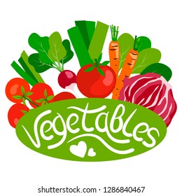 vector red tomato cherry green vegetables onion iceberg lettuce cabbage spinach t lettering  set on white for your design