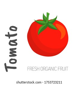 Vector red tomato isolated on a white background with the words Tomato