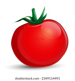 Tomate rojo vector sobre fondo blanco