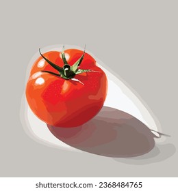 Vector of Red Tomato with shadow