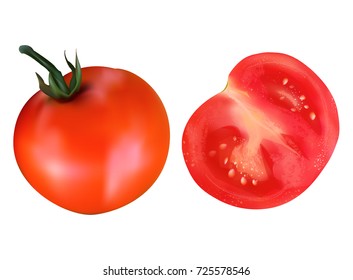 Vector red tomato. Whole tomato and a half of tomato. Gradient mesh realistic vegetable.
