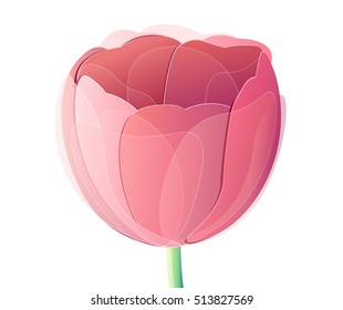 Vector red tulip flower head isolated on a white background. Creative illustration for your design